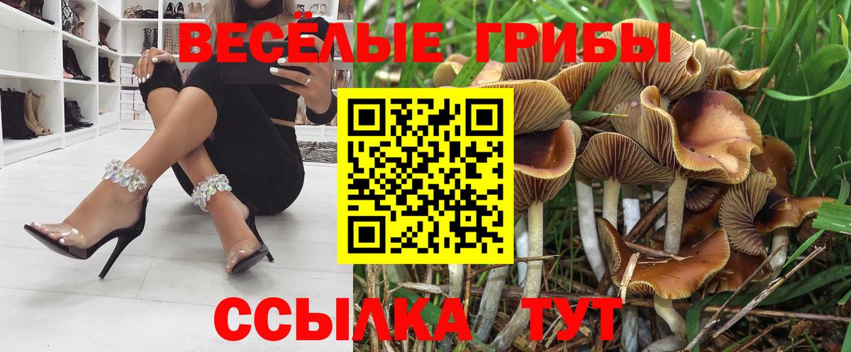 Галлюциногенные грибы Cubensis  Вход с VPN  Красноперекопск  Псилоцибиновые грибы Cubensis 